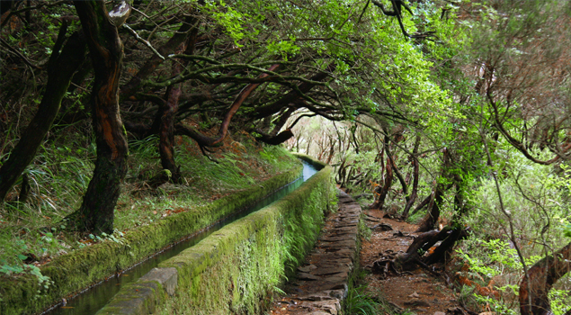 levadas-madeira